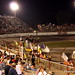 Mark Tolbert Photo 11