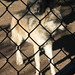 Kyle Wolf Photo 19