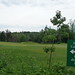Shirley Montgomery Photo 10