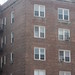 Elizabeth Rego Photo 12