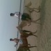 Hung Ki Photo 16