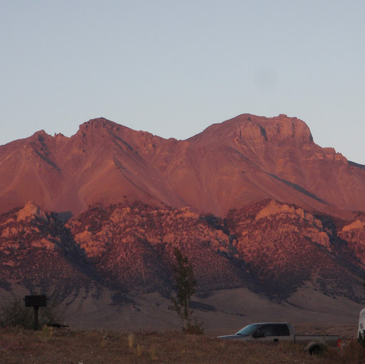 Brenda Baird Photo 4