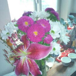 Lisa Doan Photo 17
