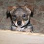Greg Hendricks Photo 21