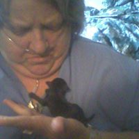 Alice Tanner Photo 26