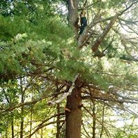 Daniel Larson Photo 21