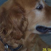Ellen Miller Photo 16