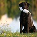 Debra Cole Photo 17