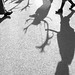 Peter Barker Photo 12