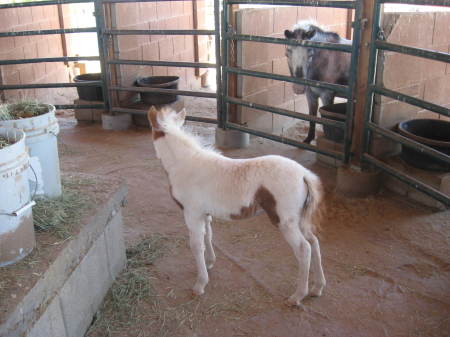 Nancy Dyer Photo 13