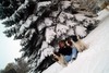 Terri Randall Photo 22