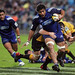 Nick Williams Photo 23