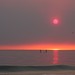 Monica Sayre Photo 7