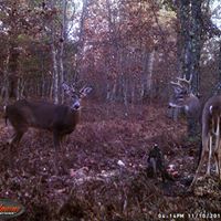 Robert Raven Photo 15