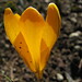 Bud Palmer Photo 28