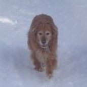 Misty Shannon Photo 22