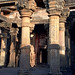 Era Gupta Photo 12