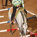 Lynn Agee Photo 17