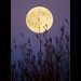 Jim Hunter Photo 1