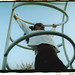 Deborah Childs Photo 37
