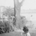 Anne Forester Photo 9
