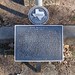 Ann Whitney Photo 16