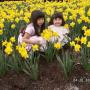 Maria Yang Photo 27