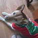 Janie Suits Photo 9