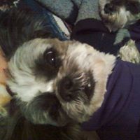 Melissa Runnels Photo 9