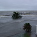 Cindy Storm Photo 22