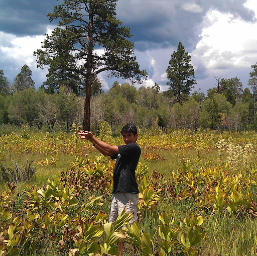 David Morales Photo 39 David Morales Photo 39