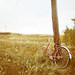 Andy Nichols Photo 25