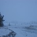 Pat Freeman Photo 16