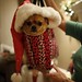 Merry Davis Photo 23