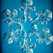 Crystal Snow Photo 13