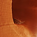 Rebecca Wilks Photo 9