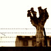 Sara Funes Photo 5