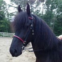 Beth Beebe Photo 12