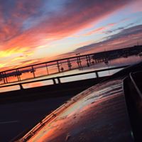 Patrick Harrell Photo 9