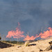 Scott Mercer Photo 18