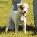 Jack Shandy Photo 16