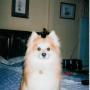 Dawn Lord Photo 18