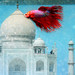 Raj A Photo 18