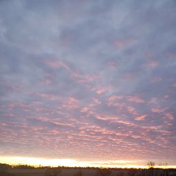 Heather Mott Photo 22