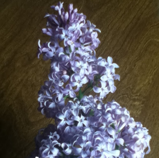 Lisa Mincey Photo 15