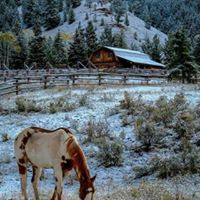 Elizabeth Sill Photo 16