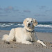 April Beach Photo 15