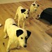 Vikki Russell Photo 16