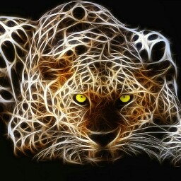 Stephen Seeley Photo 6