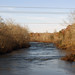 Kelly Ford Photo 15